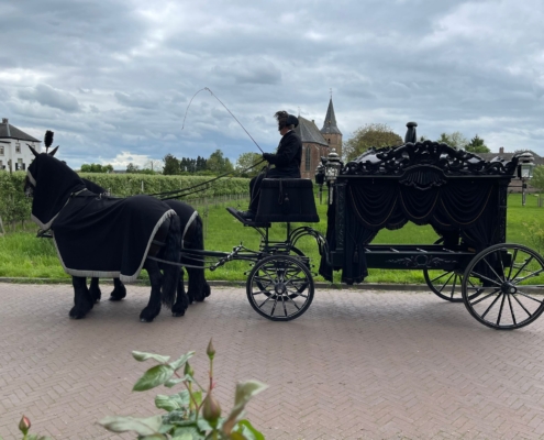 Zwarte Staatsie Rouwkoets