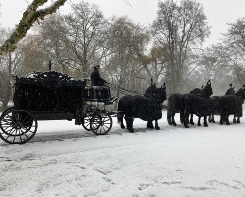 Zwarte Staatsie Rouwkoets